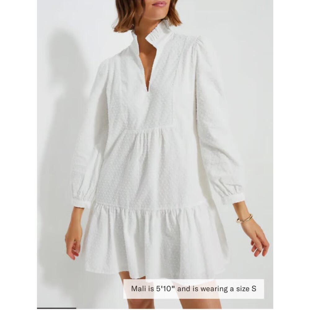 Tuckernuck White Swiss Dot NWT Dress Size large